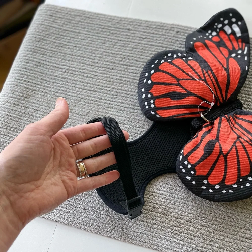 Monarch Butterfly Dog Costume For Medium Size Dog